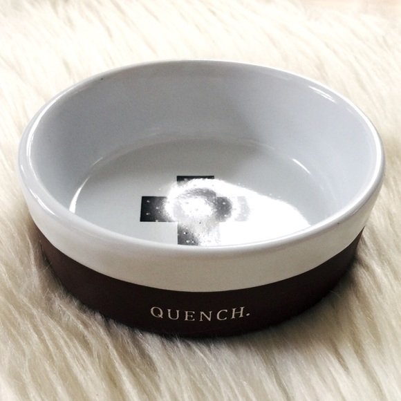 Rae Dunn Quench Pet Food Bowl
